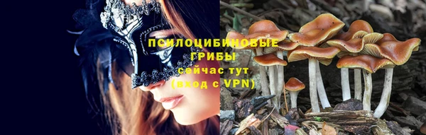 мдма Беломорск