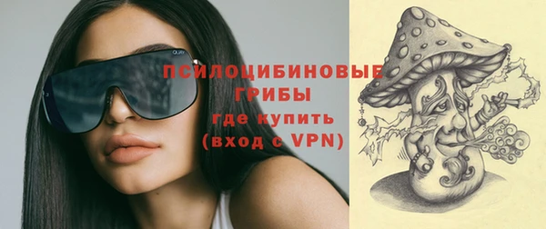 индика Баксан