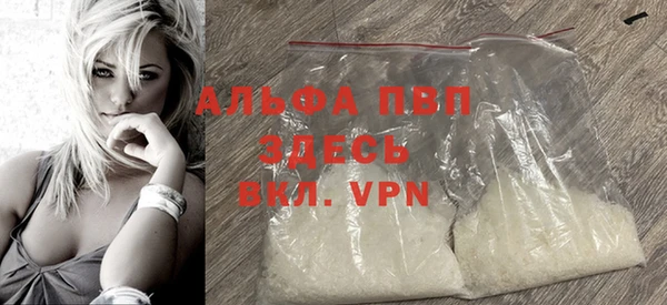 ECSTASY Белокуриха