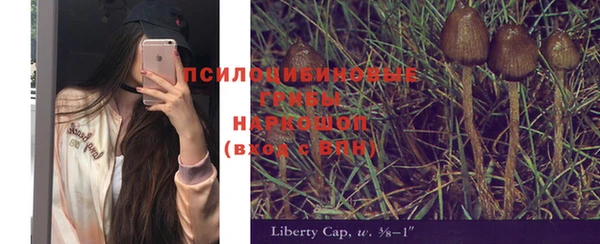 apvp Богданович