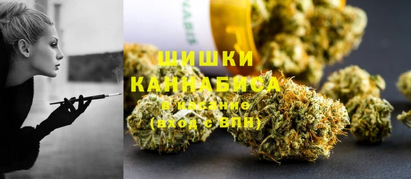 индика Баксан