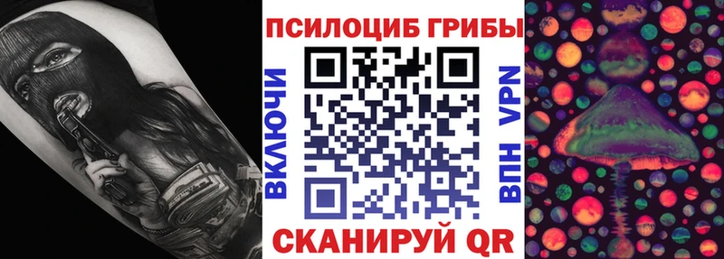 Псилоцибиновые грибы Psilocybe  купить закладку  Белозерск 
